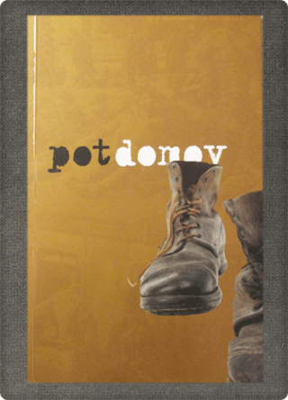 Pot domov