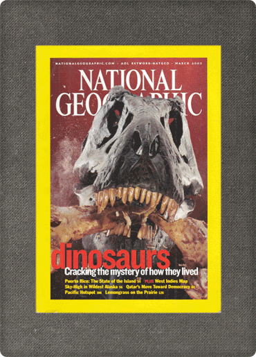 <br><strong>National geographic: official journal of the National Geographic Society; no. 3 (march), vol. 203</strong>