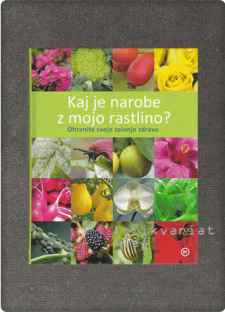 Ernst, Kaj je narobe z mojo rastlino?