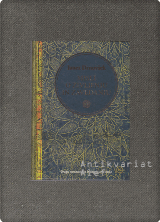 Drnovšek, Misli o življenju in zavedanju