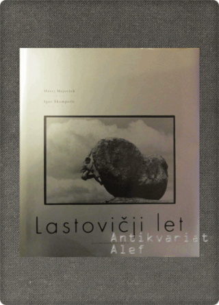 <br><strong>Lastovičji let</strong>