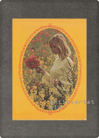 Portia Beers <strong>Sodobna ženska 1-4</strong>