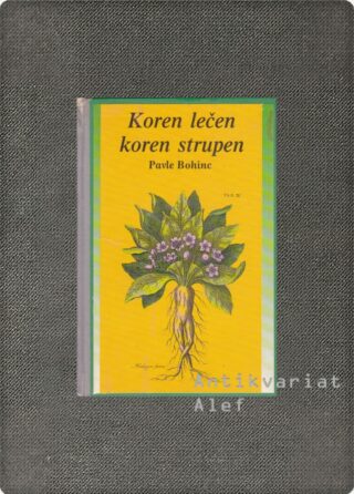 Koren lečen, koren strupen