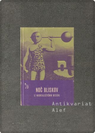 <strong>Noč bliskov: iz nadrealističnih besedil</strong>
