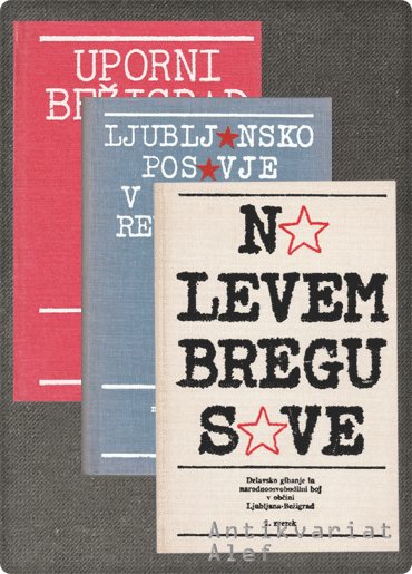<strong>Delavsko-gibanje-in-narodnoosvobodilni-boj-v-občini-Ljubljana-Bežigrad-1-3</strong>