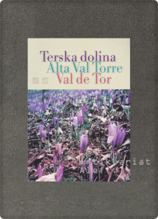 Gianni Avon <strong>Terska dolina = Alta val Torre = Val de Tor</strong>