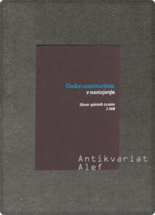 <br><strong>Under Construction = V nastajanju: slovar spletnih izrazov</strong>