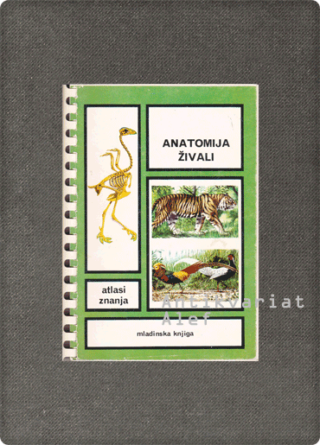Vincente Muedra Baixauli <br><strong>Anatomija živali</strong>