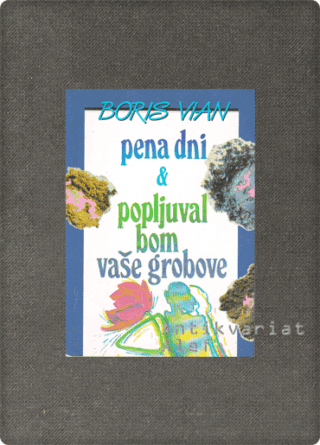 Vian, Pena dni; Popljuval bom vaše grobove