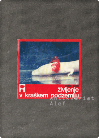 Boris Sket, <br><strong>Življenje v kraškem podzemlju</strong>