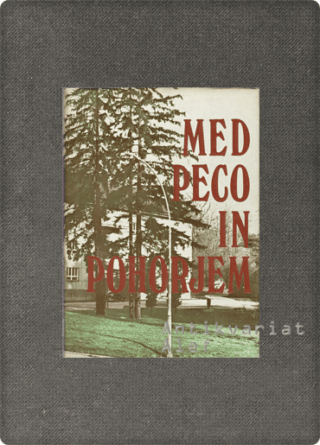 <br><strong>Med Peco in Pohorjem 2</strong>