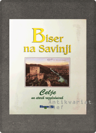 Biser na Savinji: Celje na starih razglednicah
