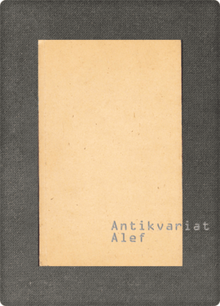 <br><strong>Sestave: Muzej novejše zgodovine Ljubljana, marec - april 1997: Umetnostna galerija Maribor, Razstavni salon Rotovž, maj 1997</strong>