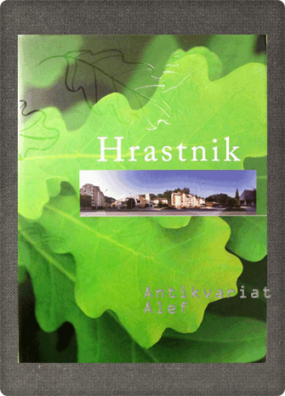 Marko Planinc, Irena Ivančič Lebar <br><strong>Hrastnik</strong>