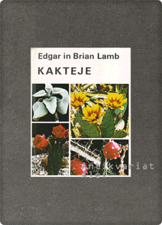 Lamb, Kakteje