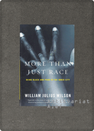 William J. Wilson <br><strong>More than just race</strong>