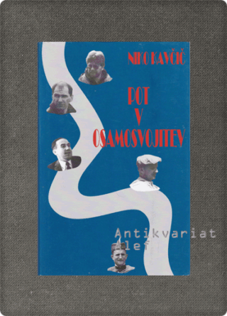 Niko Kavčič <strong>Pot v osamosvojitev</strong>
