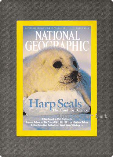 <br><strong>National geographic; no. 3 (march), vol. 205</strong>