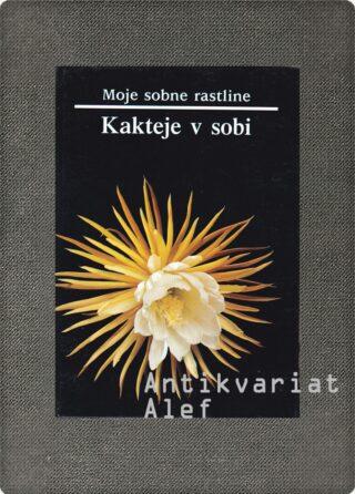 Kakteje v sobi