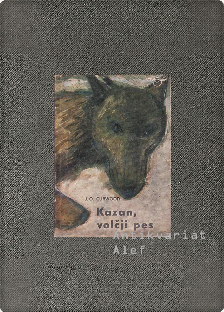 Kazan, volčji pes