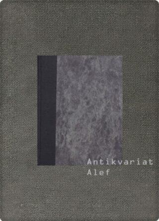 Zévaco, Spletke dvornega norca