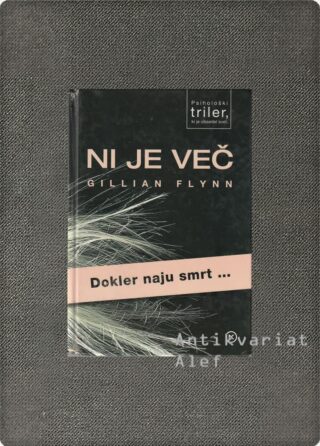 Gillian Flynn <strong>Ni je več</strong>