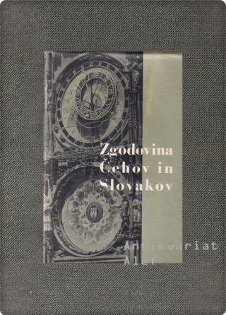 Husa, Zgodovina Čehov in Slovakov