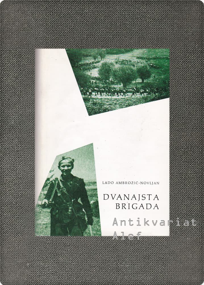 Dvanajsta brigada