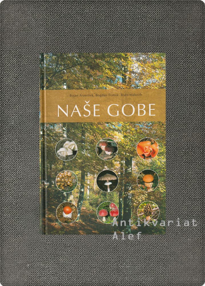 Naše gobe