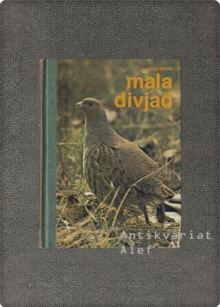 Alojz Černe <br><strong>Mala divjad</strong>