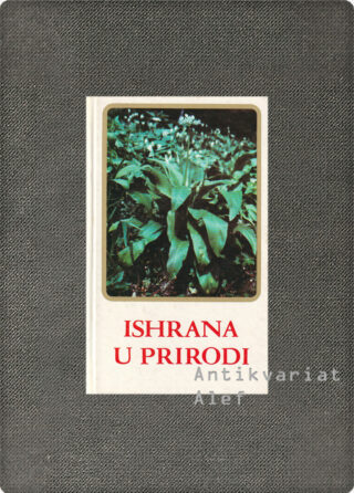 <br><strong>Ishrana u prirodi</strong>
