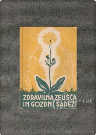 Gabrijel Tomažič, Stanislav Logar, Vinko Velušček <br><strong>Zdravilna zelišča in gozdni sadeži</strong>