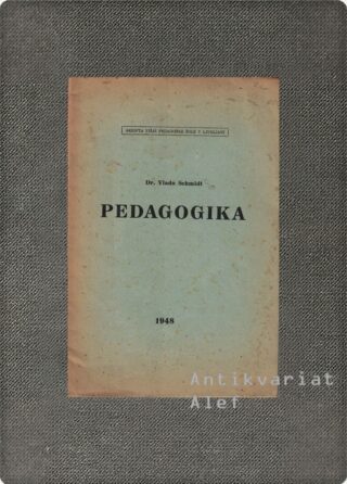 Vlado Schmidt <br><strong>Pedagogika</strong>