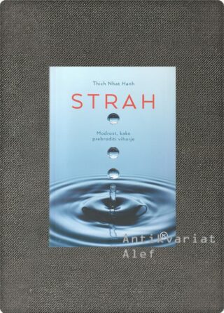 Thích Nhất Hạnh <br><strong>Strah</strong>
