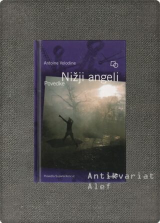 Antoine Volodine <br><strong>Nižji angeli</strong>