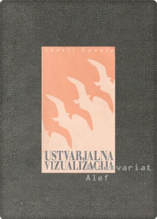 Shakti Gawain <br><strong>Ustvarjalna vizualizacija</strong>