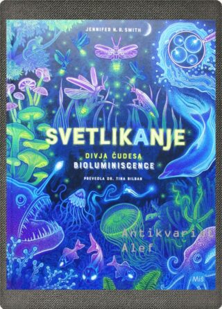 Jennifer N. R. Smith <br><strong>Svetlikanje</strong>