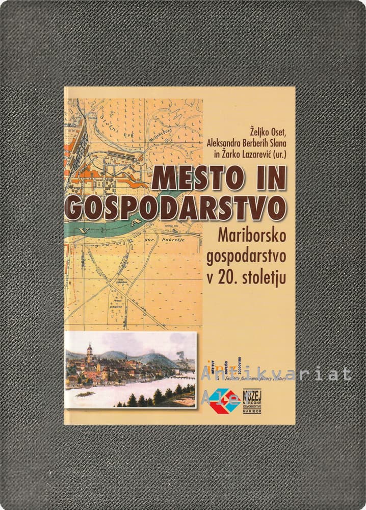 <br><strong>Mesto in gospodarstvo</strong>