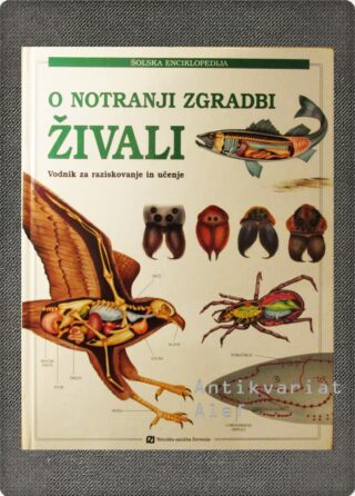 O notranji zgradbi živali