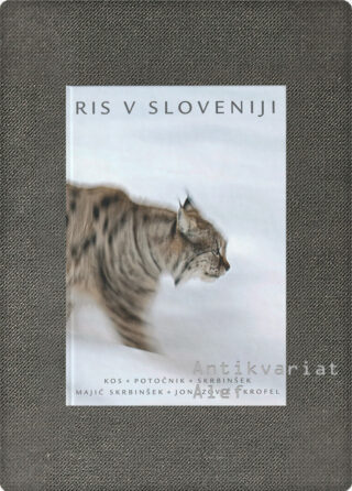 Ivan Kos, Hubert Potočnik, Tomaž Skrbinšek et al. <br><strong>Ris v Sloveniji</strong>