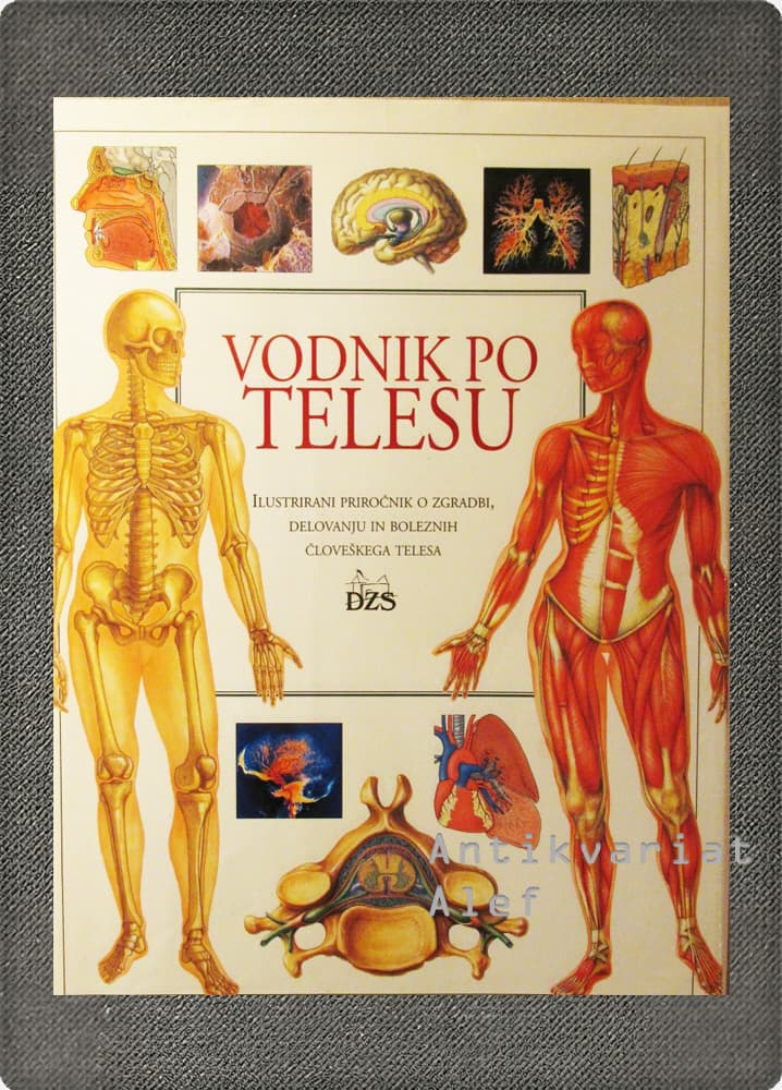 <br><strong>Vodnik po telesu</strong>