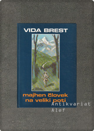 Vida Brest <br><strong>Majhen človek na veliki poti</strong>