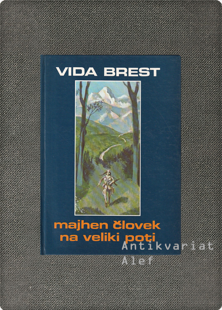 Vida Brest <br><strong>Majhen človek na veliki poti</strong>