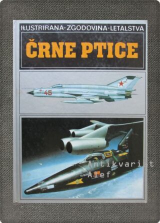 <br><strong>Črne ptice</strong>
