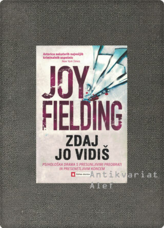 Joy Fielding <br><strong>Zdaj jo vidiš</strong>