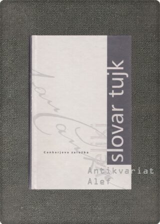 <br><strong>Veliki slovar tujk</strong>