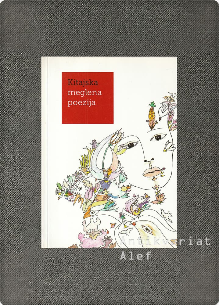 Kitajska meglena poezija